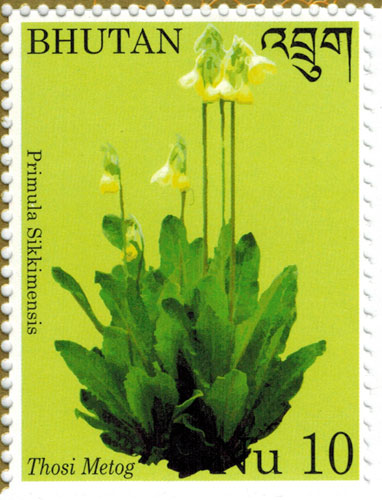 BHU1403C0