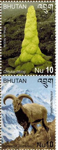 BHU1405C0