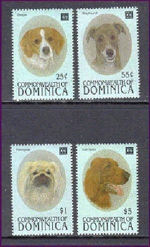 DOM9408C0