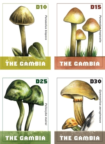 GAM0927C0