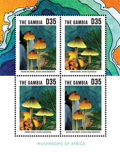 GAM1332SH
