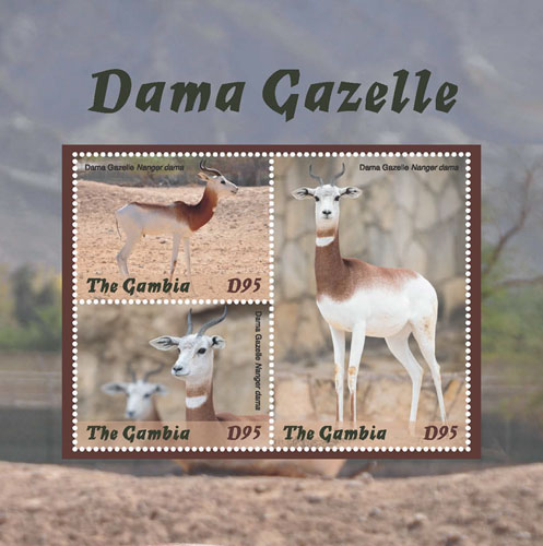 GAM1832SH