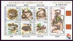 GIB0102SS