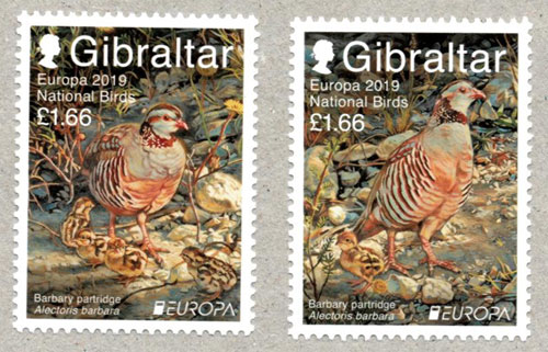 GIB1902C0