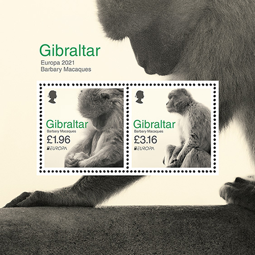 GIB2102SS