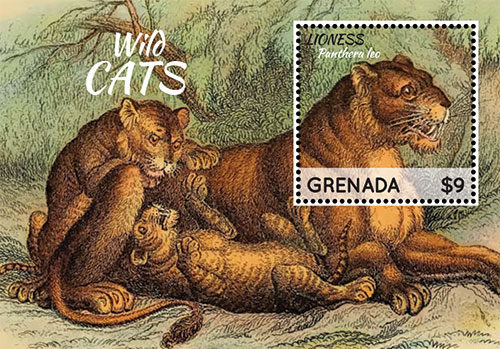 GRA1333SS