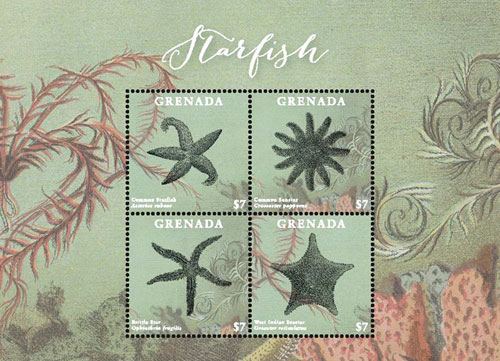 GRA1717SH