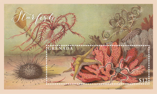 GRA1717SS