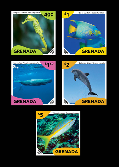 GRA2020D0