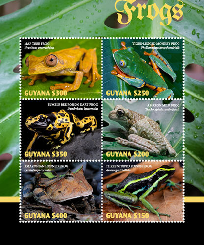 GUY1814SH
