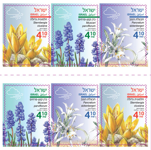 ISR1931YBK