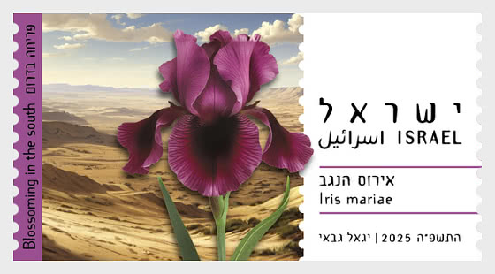 ISR2509LB