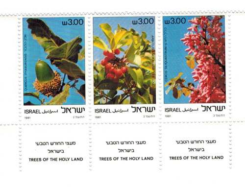 ISR8104C0