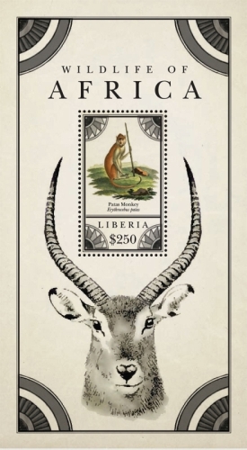 LIB1208SS