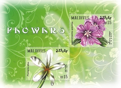 MLD0916SS