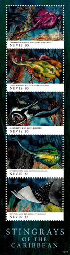 NEV1212SH