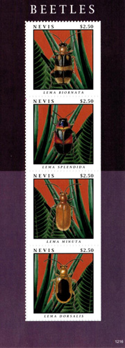 NEV1216SH