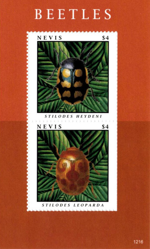 NEV1216SS