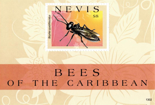NEV1302SS