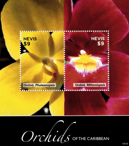 NEV1414SS
