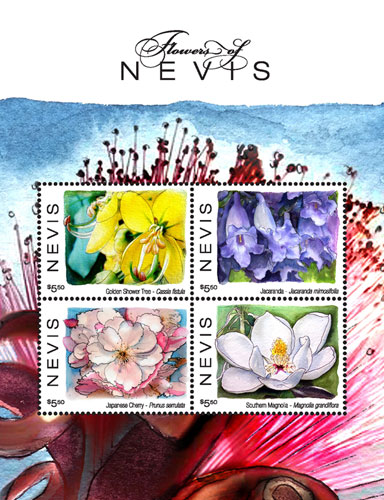 NEV1708SH