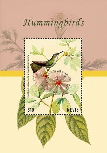 NEV1807SS