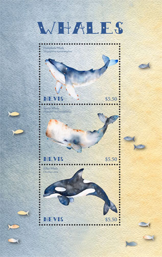 NEV1812SH