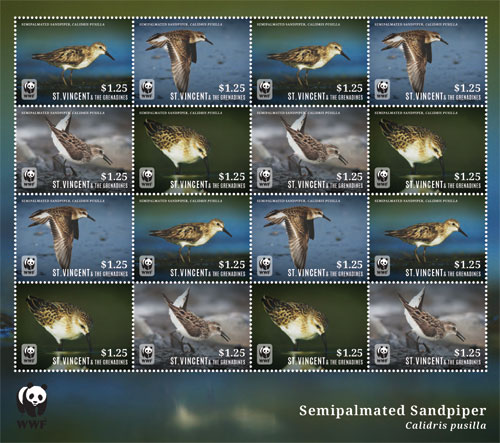SAV1441SH
