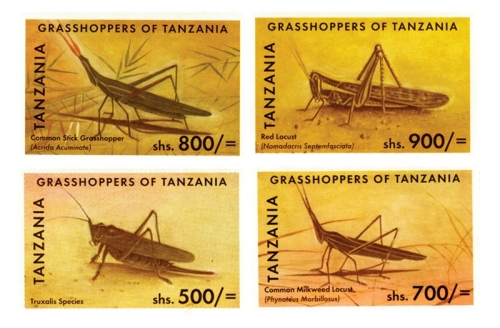 TAN1120C0