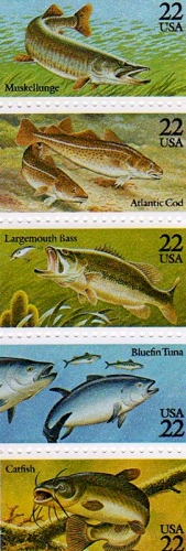 USA2205-09